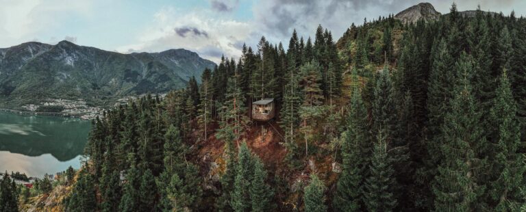 Woodnest: A Treehouse Retreat to Reconnect with Nature